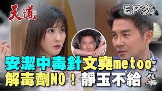 天道 EP36 完整版｜為救安潔文堯自打毒針 靜玉真的發瘋了！｜FIGHT FOR JUSTICE｜【365 PLUS燃魔女膠囊】