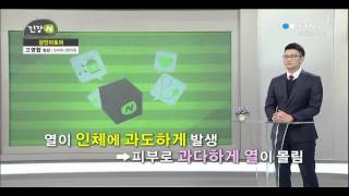 가려움과의 전쟁, 성인아토피 / YTN 사이언스