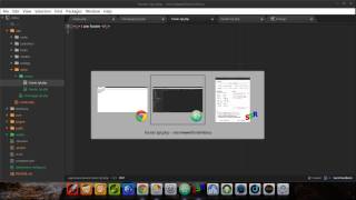 Vibius PHP Framework - Tricks & Tips (1st part) (screencast)