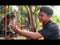 denden agri tourism farm travel vlog 01