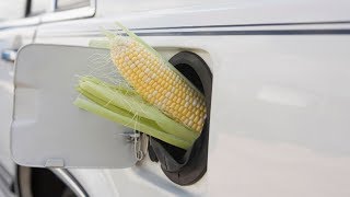 Biofuels: An Eco-Friendly Alternative to Fossil Fuels?