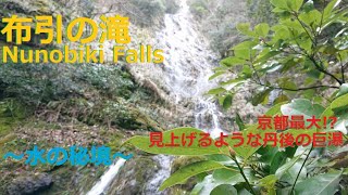 布引の滝 Nunobiki Falls・【京都丹後 宮津】京都府最大!? 圧倒的な見上げるような丹後の巨瀑～水の秘境～