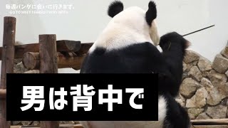 男は背中で、、【たった今】アドベンチャーワールド、永明🐼【毎週パンダ2022/07/03】Panda just now,cute panda video