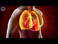 heal your lungs tissues improve your oxygen breathing rate get rid of respiratory infection