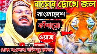 কী এমন জলসা বাঘের চোখে জল?┇খোকা মাওলানা মফিজুর রহমান┇Khoka Maulana Mofijur Rahaman┇ Bangladeshi waz