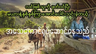 အပုတ်ကောင်ရုပ်ဆောင်