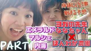 串間を飛び出し　宮崎県内海エメラルドマルシェへ　ヨガななちゃん❌ほんわか農園　空飛ぶ一日