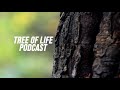 Tree of Life-UC Davis: John Harada