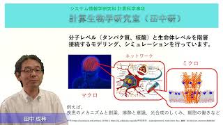 田中　成典（分子レベルと生命体レベルを階層接続するモデリング、シミュレーション）