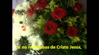 ALABANZA A SANTA CECILIA