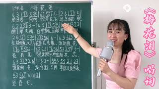 《梅花泪》歌词教唱，轻松掌握简谱中歌词音准节奏，一起来学