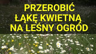 Łąka kwietna zamienia się w łąkę leśną