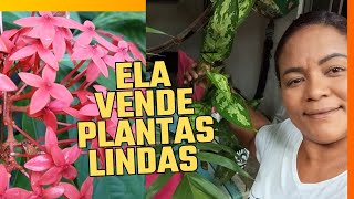 ELA VENDE MUITAS PLANTAS.VEM VÊ 🤩