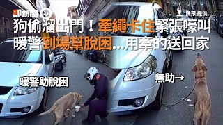 狗狗偷溜出門...牽繩卡住緊張嚎叫！暖警幫脫困「用牽的送牠回家」｜暖聞｜寵物動物｜協助脫困