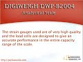 digiweigh dwp b2004 analytical scale