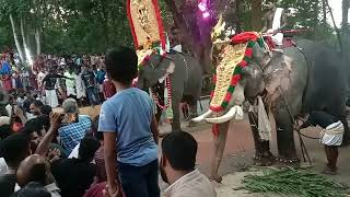 പൂരത്തിനു പോയി കണ്ട കാഴ്ച ജൂനിയർ കർണ്ണൻ ഇടഞ്ഞത് നോക്കൂ 🔥🔥🐘🐘🐘🐘🐘🐘