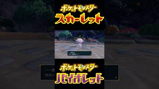 【ポケモンSV】ラブボ入り色違いウパー/ヌオー  #shorts