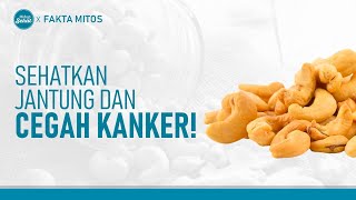 Manfaat dan Efek Samping Kacang Mete untuk Kesehatan | Hidup Sehat tvOne