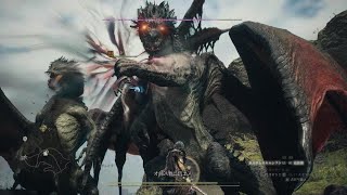 Dragon's Dogma 2　ドレイク２体vs魔法少女トリーシャ