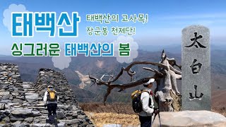 태백산 | 유일사 코스 | 장군봉 천제단 | 100대 명산 | 등산 | Go Hiking