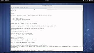 SSH Port Forwarding with OpenShift PaaS
