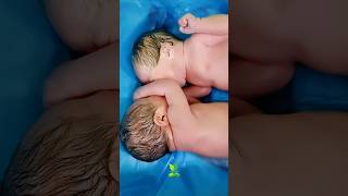 newborn twins baby are crying after fighting #shorts