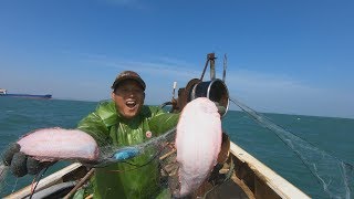 阿阳出海好货抓到爆舱，上岸就吸引众人疯抢，卖了好几千大赚一笔