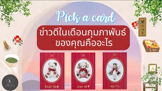 Pick a card ep675🎊✨️🌿ข่าวดีในเดือนกุมภาพันธ์ของคุณคืออะไร🍵🧧✨️#ดูดวง #ไพ่ยิปซี #ดูดวงไพ่ยิปซี