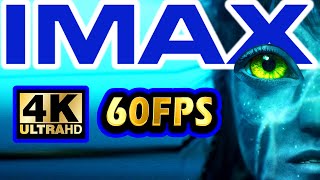 IMAX | Avatar 2: Official IMAX Teaser Trailer (4K ULTRA HD)