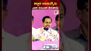 తిట్టాలి అనుకున్నోడు ఎలా అయినా తిడతాడు || CM KCR Commets || BRS Party #shots #dialnews