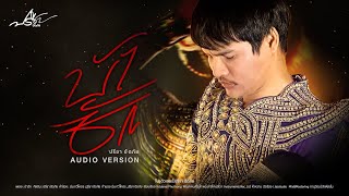 บ้าฮัก : ปรีชา  ปัดภัย (Audio version)