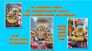 EMANESWARAM PERUMAL  KOVIL KUMPABISEGAM | ஸ்ரீ வரதராஜப் பெருமாள் கோவில் கும்பாபிஷேக விழா