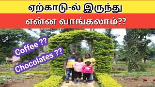 YERCAUD💥| ஏற்காடு-ல் இருந்து என்ன வாங்கலாம் ⁉️ | 4 Must BUY Things from Yercaud | YERCAUD TOURISM🥰🏕