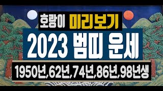 2023년 호랑이띠 운세☘️계묘년 범띠 운세 나이별 (1950년생,1962년생,1974년생,1986년생,1998년생) 재물운,사업운,건강운,애정운,대인관계  종합운세 미리보기