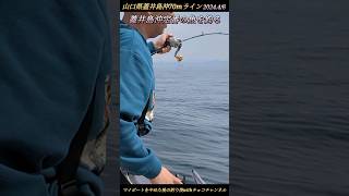 【タイラバ】山口県蓋井島沖定番の魚を釣る。