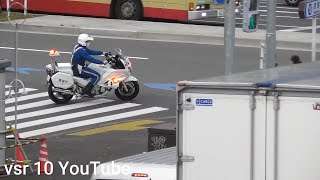 白バイが信号無視車両を検挙！！FJR1300Pの近未来的サイレン