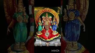 குன்றக்குடி ஊர் அழக முருகன் பாடல் முருகன் அருள் 🙏🙏🙏🙏 kundrakudi oor Alaga Murugan Song Murugan Arul