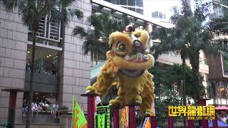 新加坡南仙龙狮体育会 Nam Sieng Dragon \u0026 Lion Dance Activity Centre