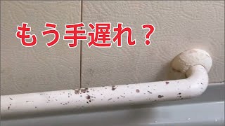 【お風呂の手すり】ガンコな黒カビは落ちる？｜ゴムパッキン、浴室リモコン、壁そうじ｜ビフォーアフター