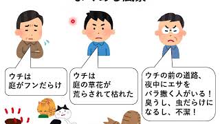 地域猫活動 解説01