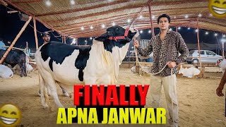 Alhumdulillah apna janwar ka sauda kar lia 😍🐄