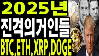 비트코인 도지코인 리플코인  🔥2025 BTC XRP DOGE  결국 2%대중만 🔥