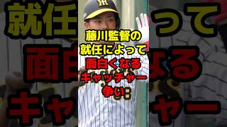 藤川監督の就任によって面白くなるキャッチャー争い#shorts #野球 #プロ野球 #阪神タイガース #藤川球児 #キャッチャー #争奪戦