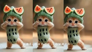 😻Cat videos funny dance 💃😃Videos for catsv#funnycats #dancingcat #catlovers 90