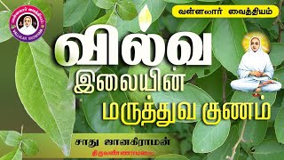 ஜீரணமண்டலத்தை சரி செய்யும் வில்வம் | Benefit vilvam herbal | Vallalar vaithiyam | வள்ளலார் வைத்தியம்