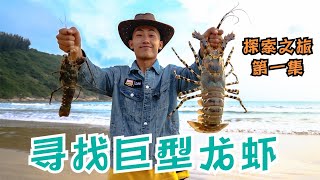 【ENG SUB探索兄弟】寻找巨型龙虾！出海潜水无果后，我们有了新发现