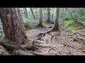 富士山 小富士から須走口五合目に向かう遊歩道のようす。