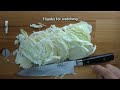 slicing cabbage with yaxell zen gyuto