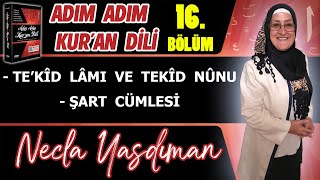 Adım Adım Kur'an Dili Kitabından 16.BÖLÜM (Sayfa 161-165 Arası) Necla Yasdıman ile Arapça Dersleri