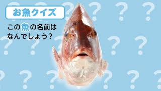 光洋de食育シリーズ「お魚クイズ編」